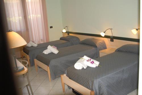 Hotel Gran Delta Di Alba-invest Srl 3*